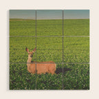 Clover Fields Wood Wall Art Gallery Image 1