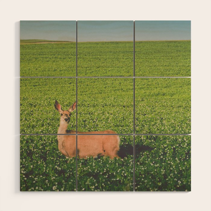Clover Fields Wood Wall Art Gallery Image 1