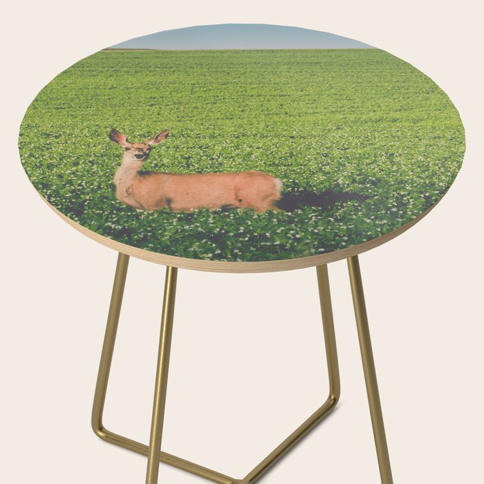 Clover Fields Side Table Gallery Image 2