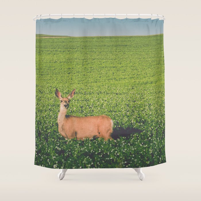 Clover Fields Shower Curtain Gallery Image 1