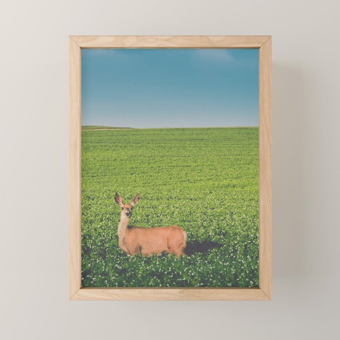 Clover Fields Mini Art Print Gallery Image 1