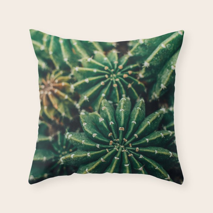 Cactus Study 2 Throw Pillow Gallery Image 6
