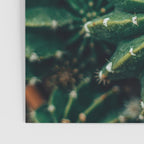 Cactus Study 2 Poster Gallery Image 3