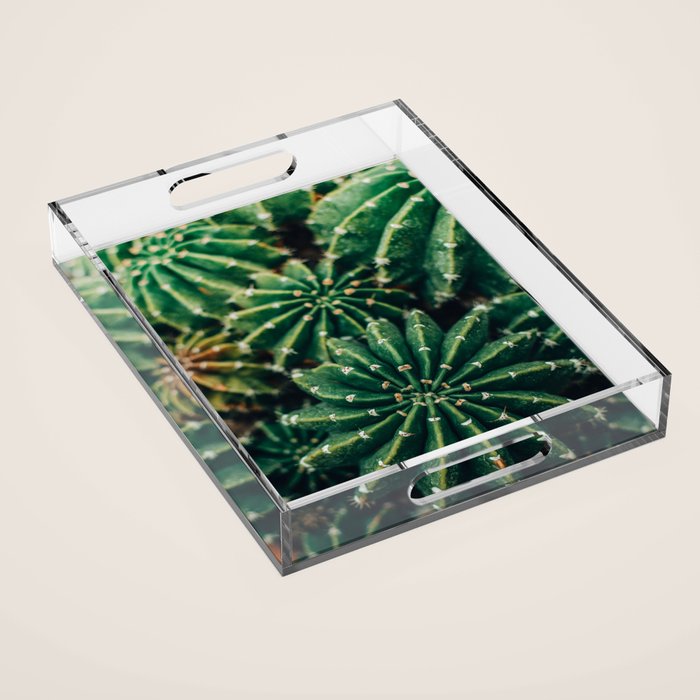 Cactus Study 2 Acrylic Tray Gallery Image 1