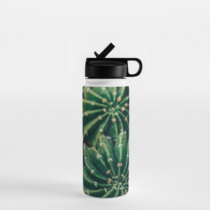 Cactus Study 2 Water Bottle Gallery Image 1