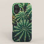 Cactus Study 2 iPhone Case Gallery Image 1
