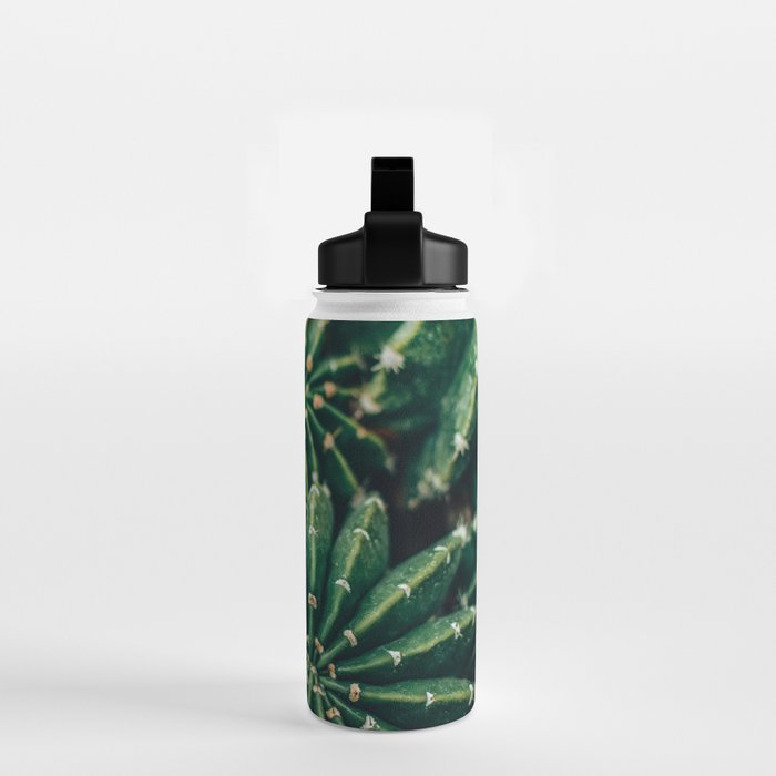 Cactus Study 2 Water Bottle Gallery Image 2