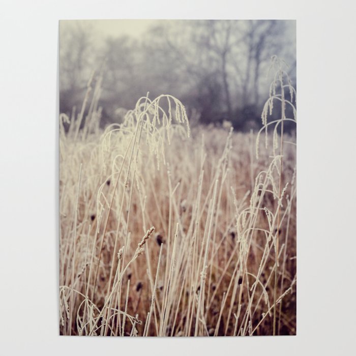 Hoarfrost Study l Poster Gallery Image 1