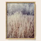 Hoarfrost Study l Serving Tray Gallery Image 1