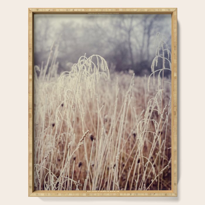 Hoarfrost Study l Serving Tray Gallery Image 1