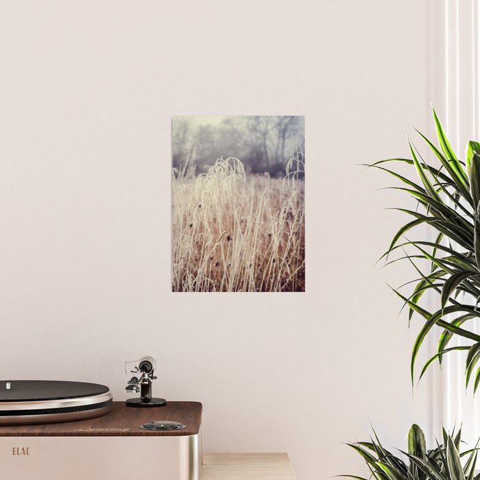 Hoarfrost Study l Poster Gallery Image 2