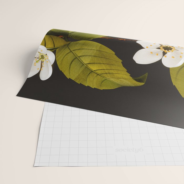 Apples Botanical Art 1 Wrapping Paper Gallery Image 2