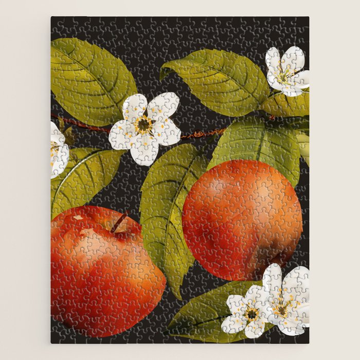 Apples Botanical Art 1 Jigsaw Puzzle Gallery Image 1