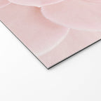 Blush Succulent Welcome Mat Gallery Image 2