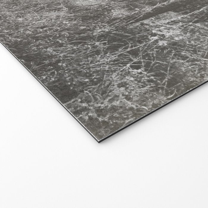 INTO THE WILD XXV Welcome Mat Gallery Image 2