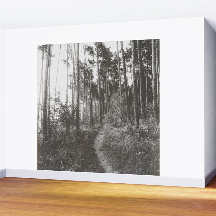 INTO THE WILD XXV Wall Mural Gallery Image 2