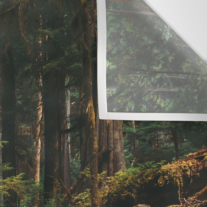 Woodland Landscape Wall Tapestry Gallery Image 3