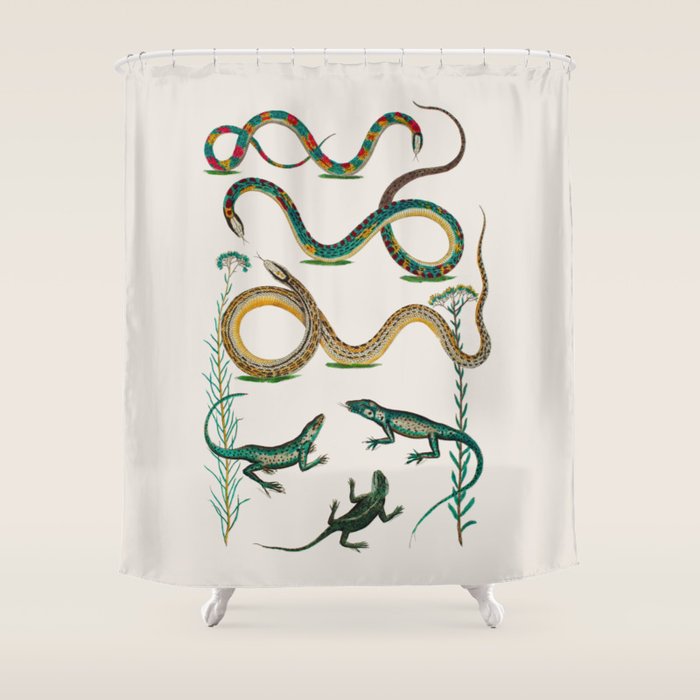 Albertus Seba Snakes And Lizards Teal Shower Curtain Gallery Image 1
