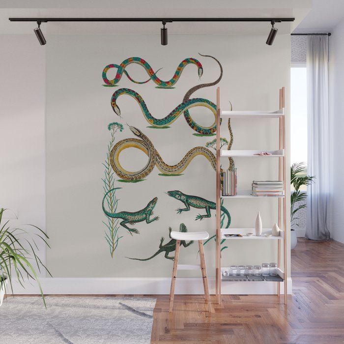 Albertus Seba Snakes And Lizards Teal Wall Mural Gallery Image 1