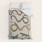 Albertus Seba Snakes And Lizards Teal Comforter Gallery Image 6