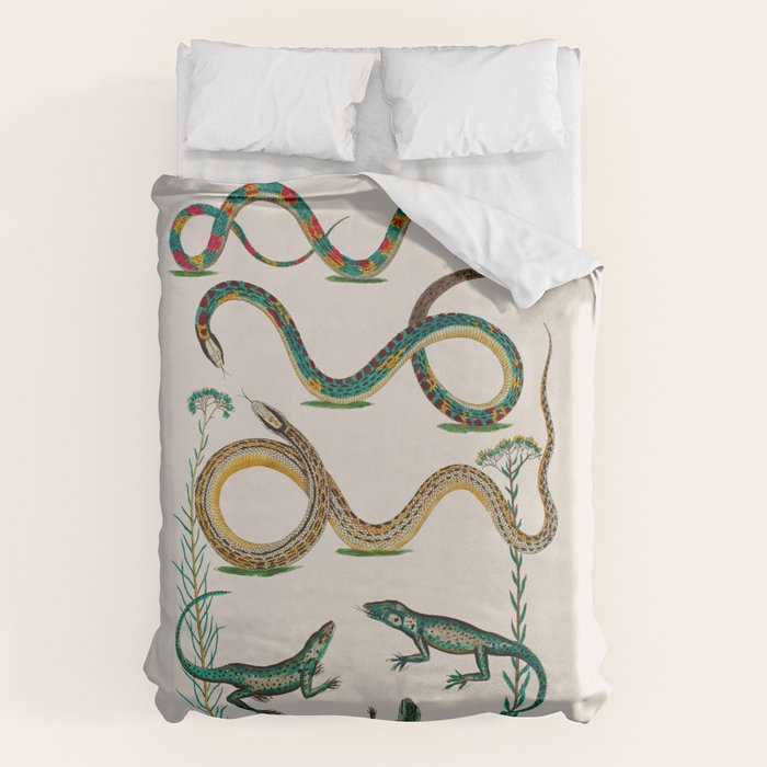 Albertus Seba Snakes And Lizards Teal Duvet Cover Gallery Image 6
