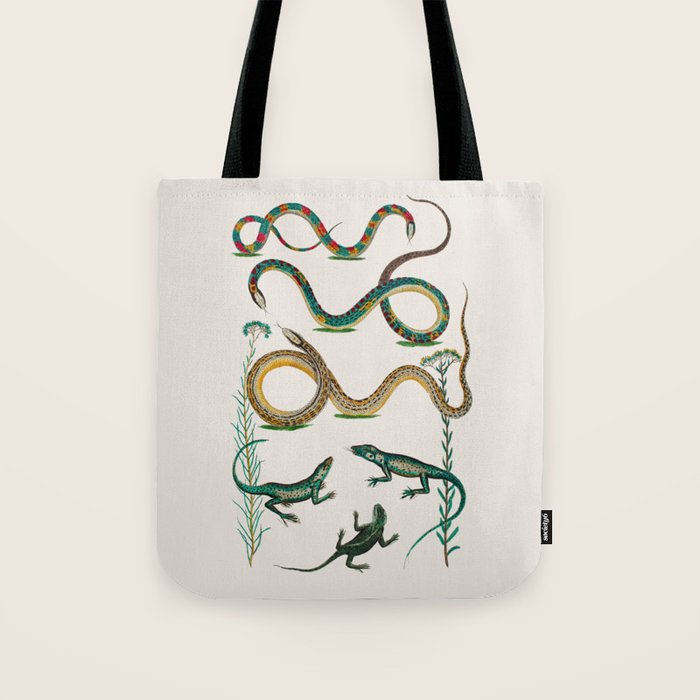 Albertus Seba Snakes And Lizards Teal Tote Bag Gallery Image 1