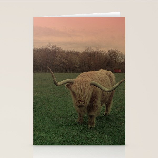 Scottish Highland Steer Stationery Card Gallery Image 1