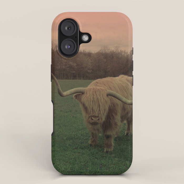 Scottish Highland Steer iPhone Case Gallery Image 1