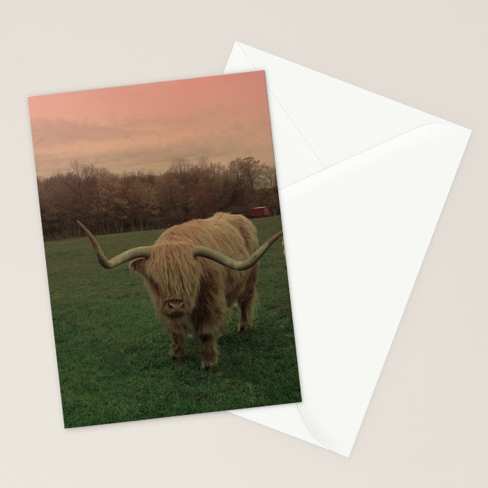 Scottish Highland Steer Stationery Card Gallery Image 2
