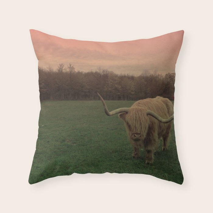 Scottish Highland Steer Throw Pillow Gallery Image 6