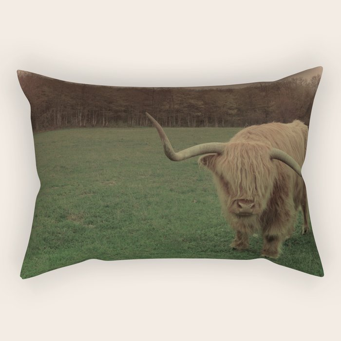 Scottish Highland Steer Rectangular Pillow Gallery Image 1