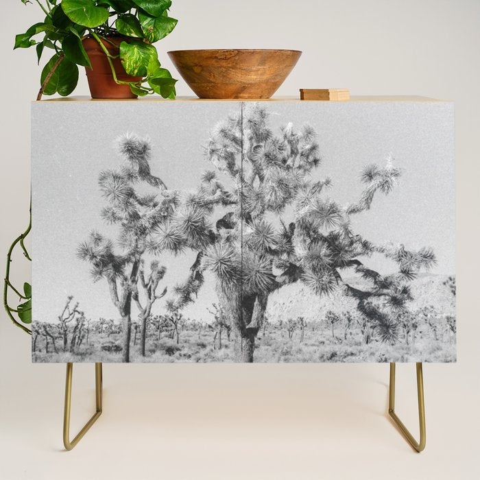 JOSHUA TREE VII / California Desert Credenza Gallery Image 1