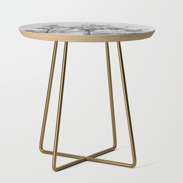 JOSHUA TREE VII / California Desert Side Table Gallery Image 1