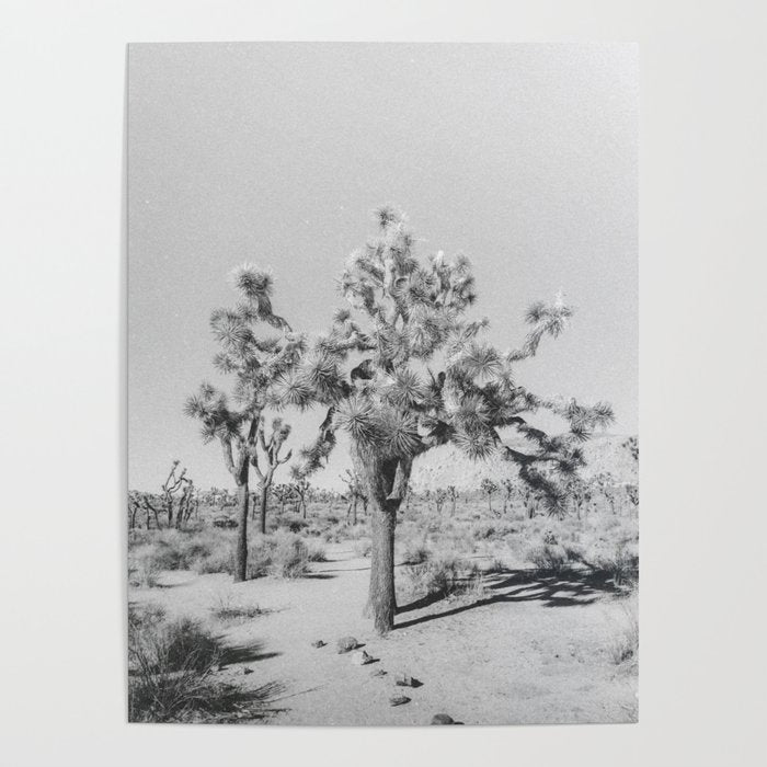 JOSHUA TREE VII / California Desert Poster