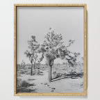 JOSHUA TREE VII / California Desert Serving Tray Gallery Image 1