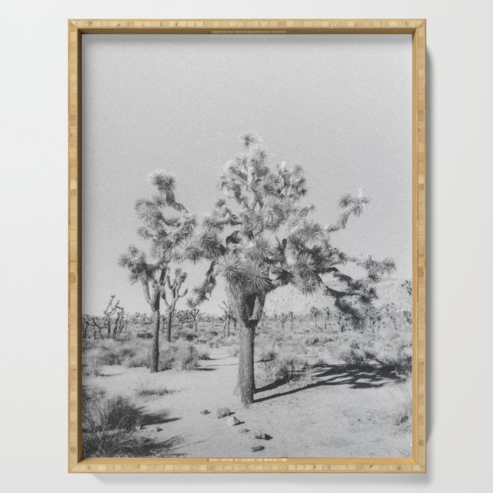 JOSHUA TREE VII / California Desert Serving Tray Gallery Image 1