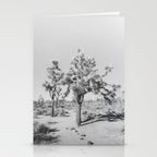 JOSHUA TREE VII / California Desert Stationery Card Gallery Image 2