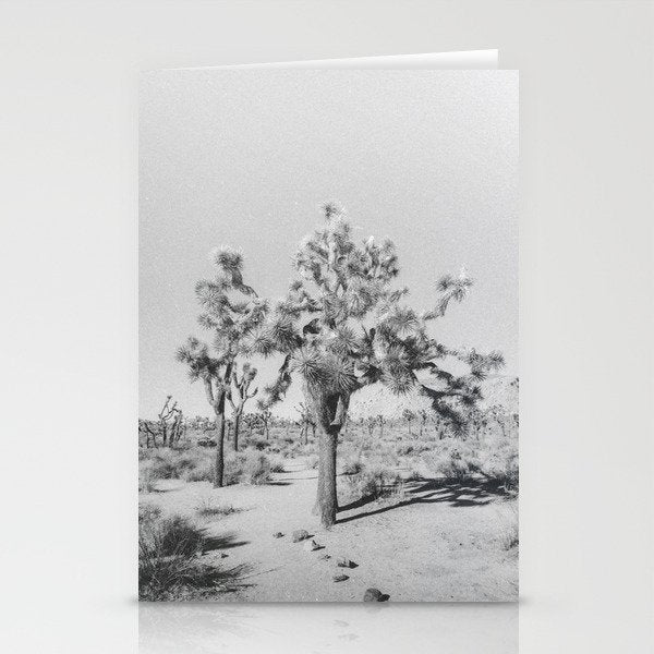 JOSHUA TREE VII / California Desert Stationery Card Gallery Image 2