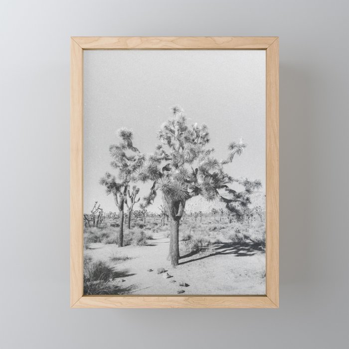 JOSHUA TREE VII / California Desert Mini Art Print Gallery Image 1