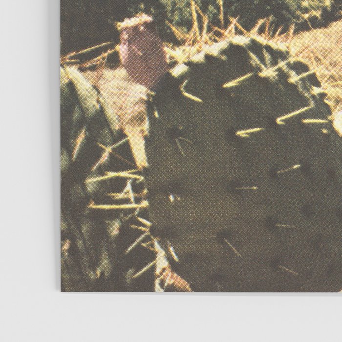 Wilderness Poster Gallery Image 3