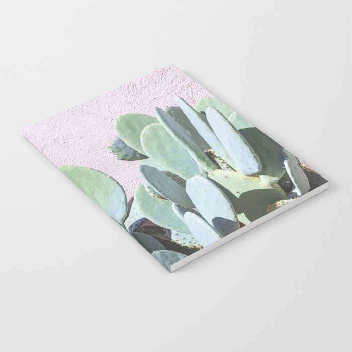 West Texas Cactus Photography Notebook Gallery Image 2