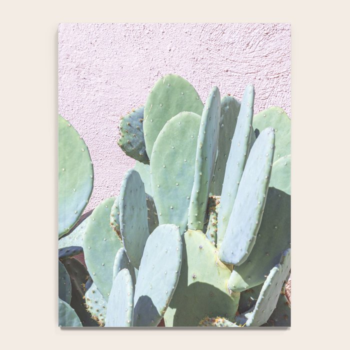 West Texas Cactus Photography Notebook Gallery Image 4