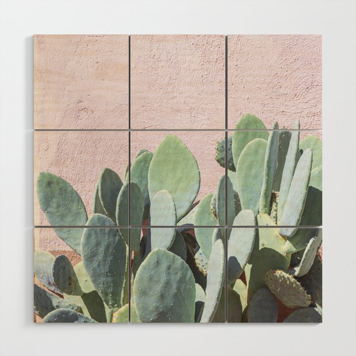 West Texas Cactus Photography Wood Wall Art Gallery Image 1
