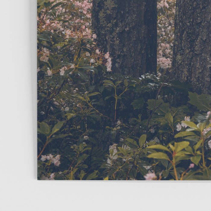 Forest Floral Foggy Wanderlust Adventure Poster Gallery Image 3