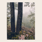 Forest Floral Foggy Wanderlust Adventure Poster Gallery Image 4