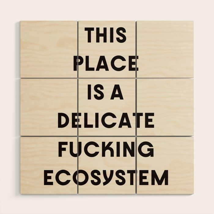 Delicate Fucking Ecosystem - The Bear Funny Saying Wood Wall Art Gallery Image 1