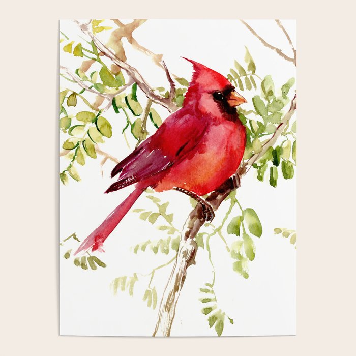Northern Cardinal, Cardinal Bird Lover Gift Poster