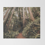 Forest Adventure - Redwood National Park Hiking Throw Blanket Gallery Image 2