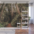 Forest Adventure - Redwood National Park Hiking Wall Mural Gallery Image 1