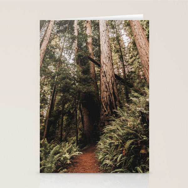 Forest Adventure - Redwood National Park Hiking Stationery Card Gallery Image 2